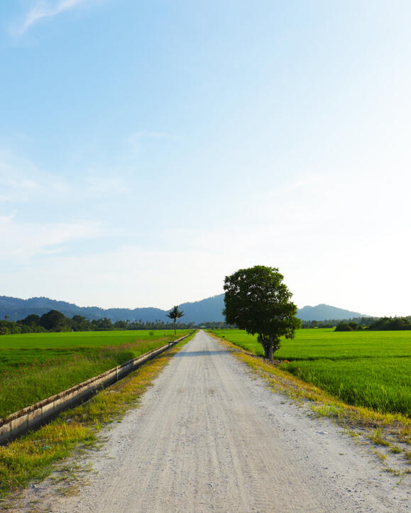 Country road